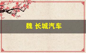 魏 长城汽车(魏 长城汽车 取名)_https://www.wguangz.com_大商所_第1张